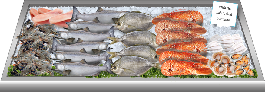Frozen Food