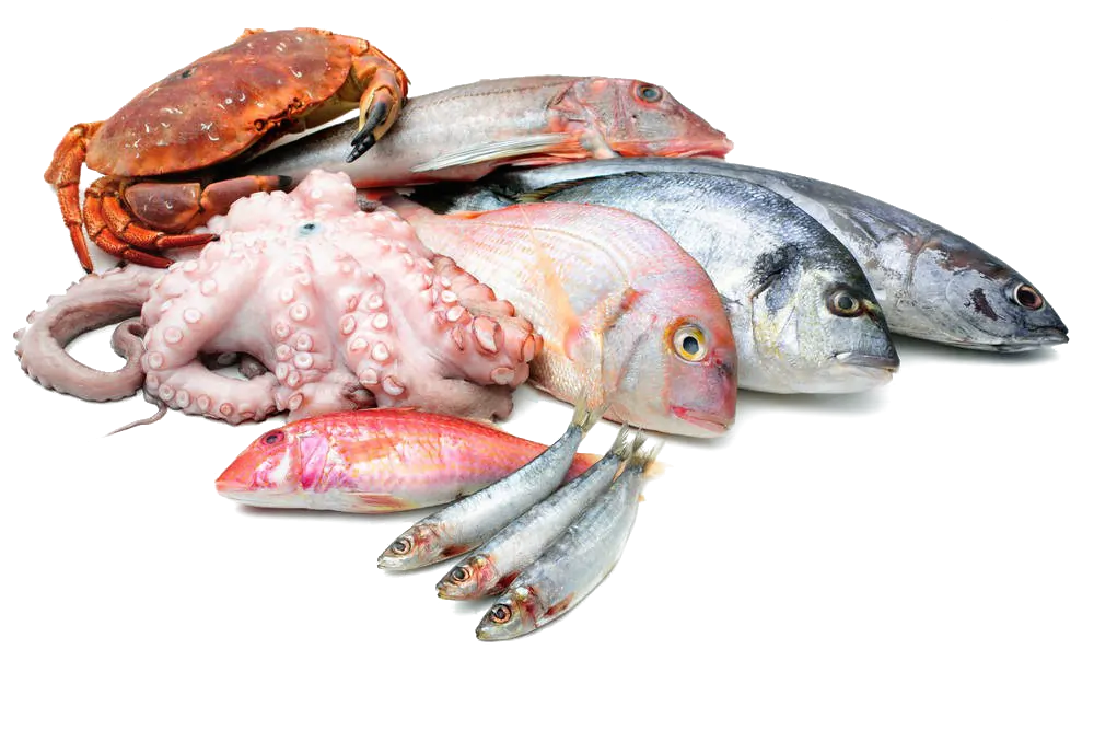 Marine Product